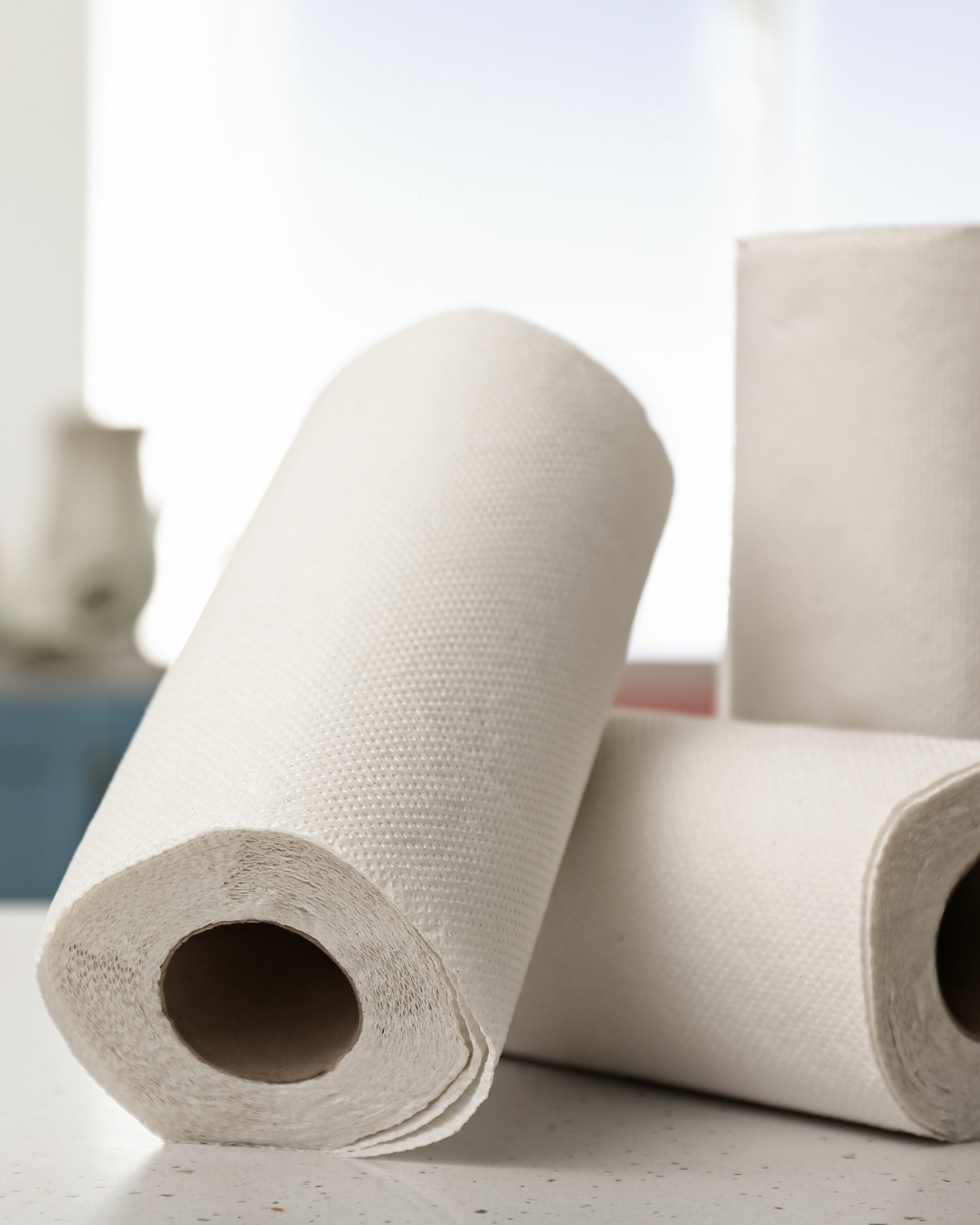 Zwei Küchenpapierhelden für Jede Situation: Von der Großküche bis zum Haushalt – Premium-Qualität, die den Unterschied Macht!